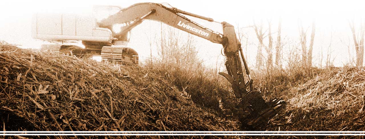 Call Livingston for Brush Cutting Livingston Excavator Cutting Brush